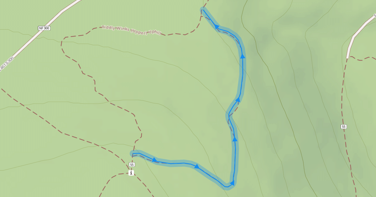 Map preview of Tiddly Winks (Upper) DHO