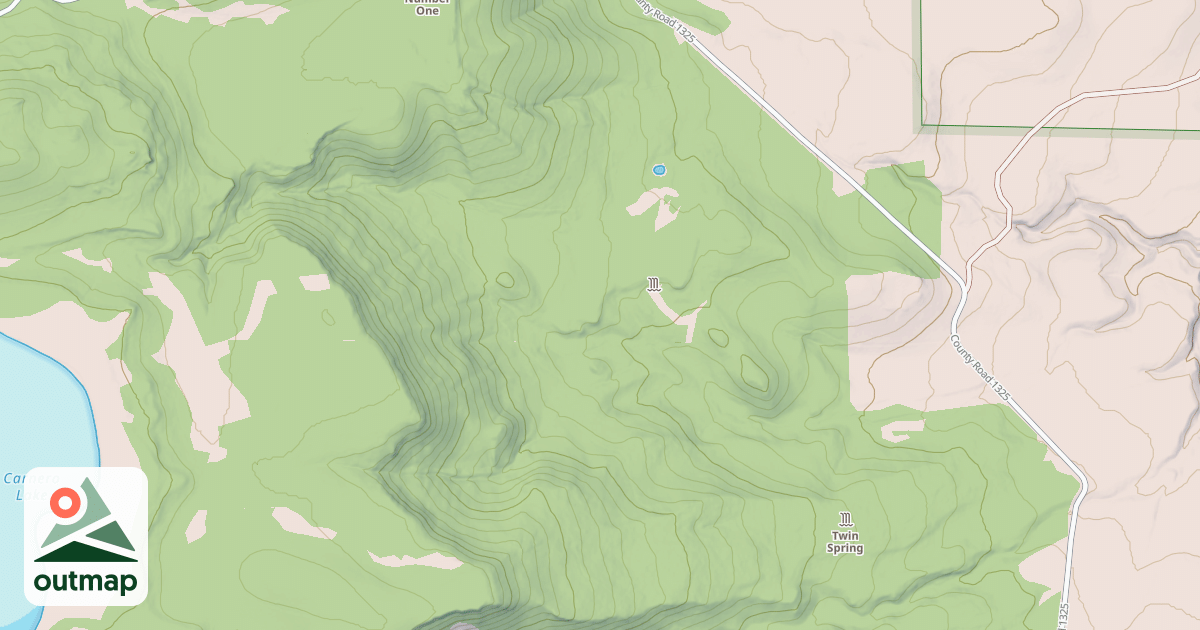 Map of USFS National Forest System Roads {5D69C1B1-A43A-41F8-B21B-421ABC37E00E}