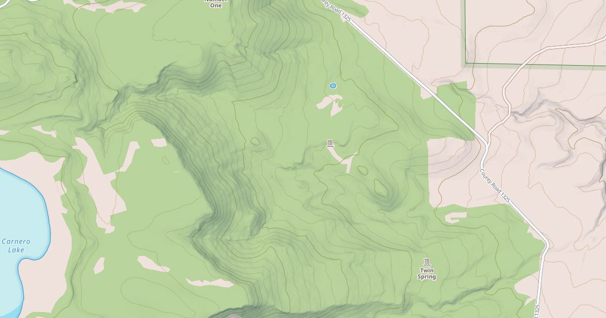 Map preview of USFS National Forest System Roads {5D69C1B1-A43A-41F8-B21B-421ABC37E00E}