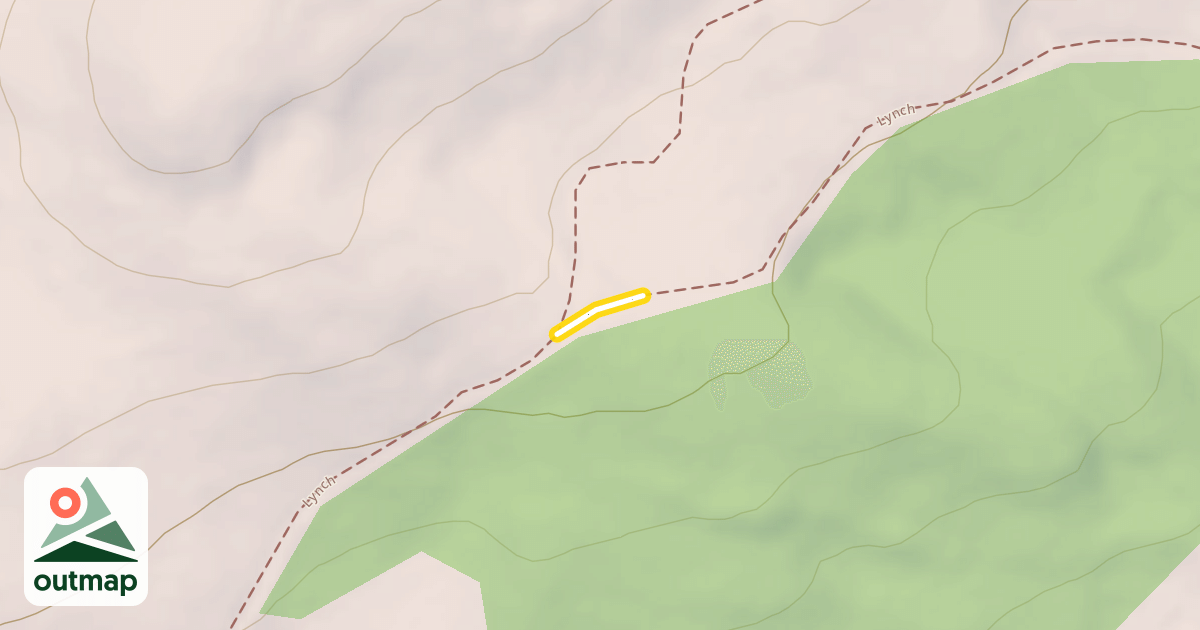 Map of Lynch