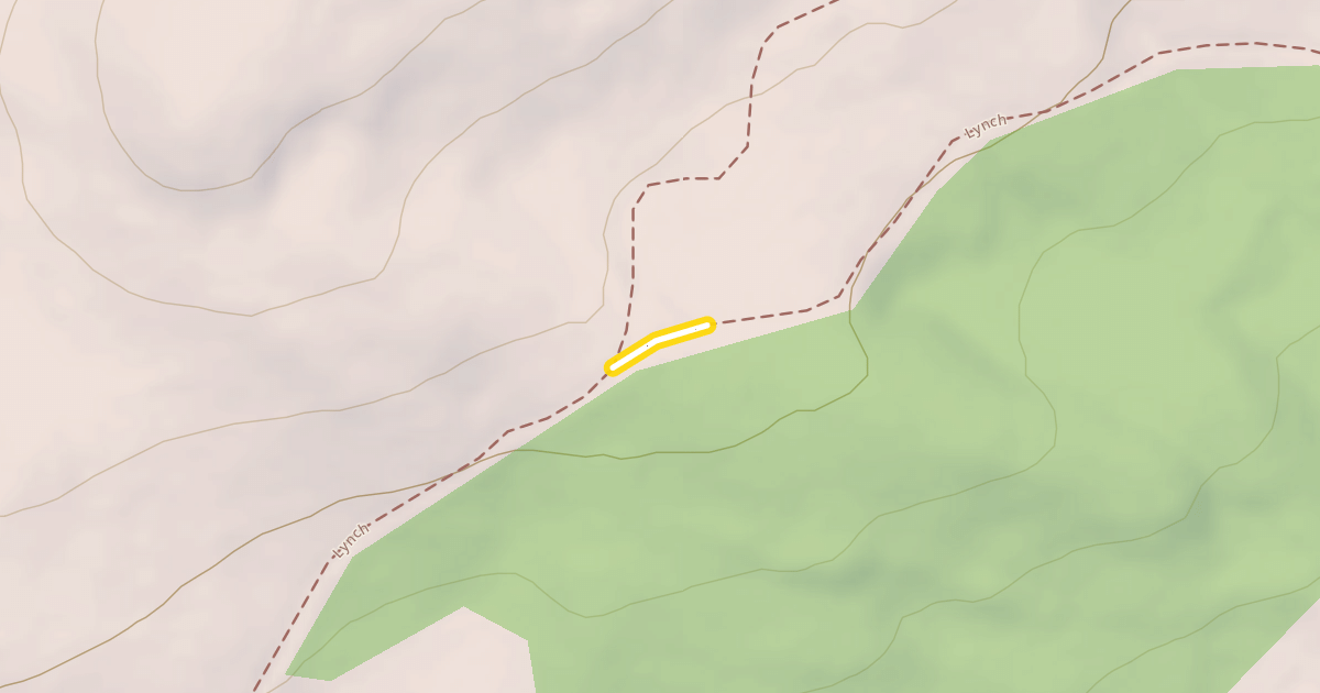Map preview of Lynch
