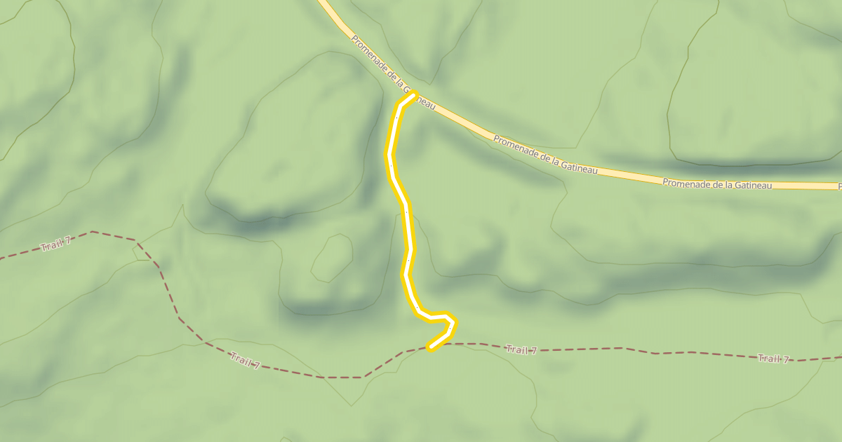 Map preview of 7
