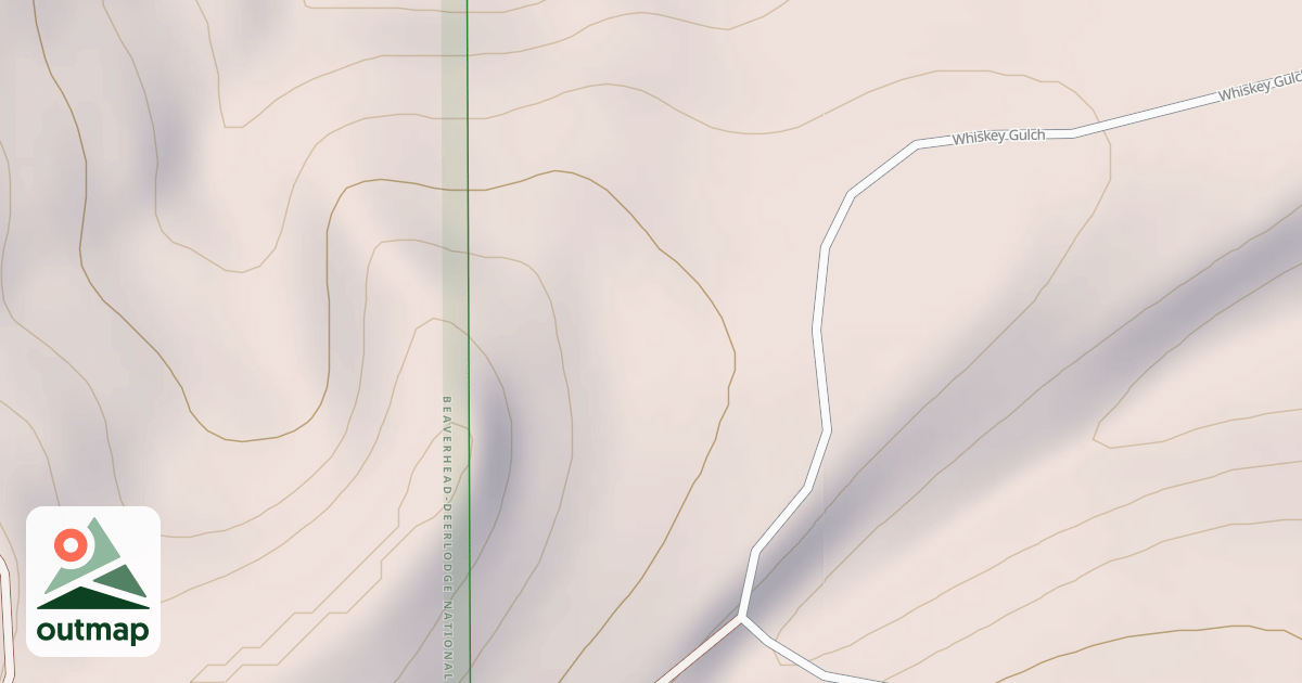 Map of BLM National GTLF Public Motorized Roads c1f75f2a-d72a-4b33-a886-0e7ba85dfd81