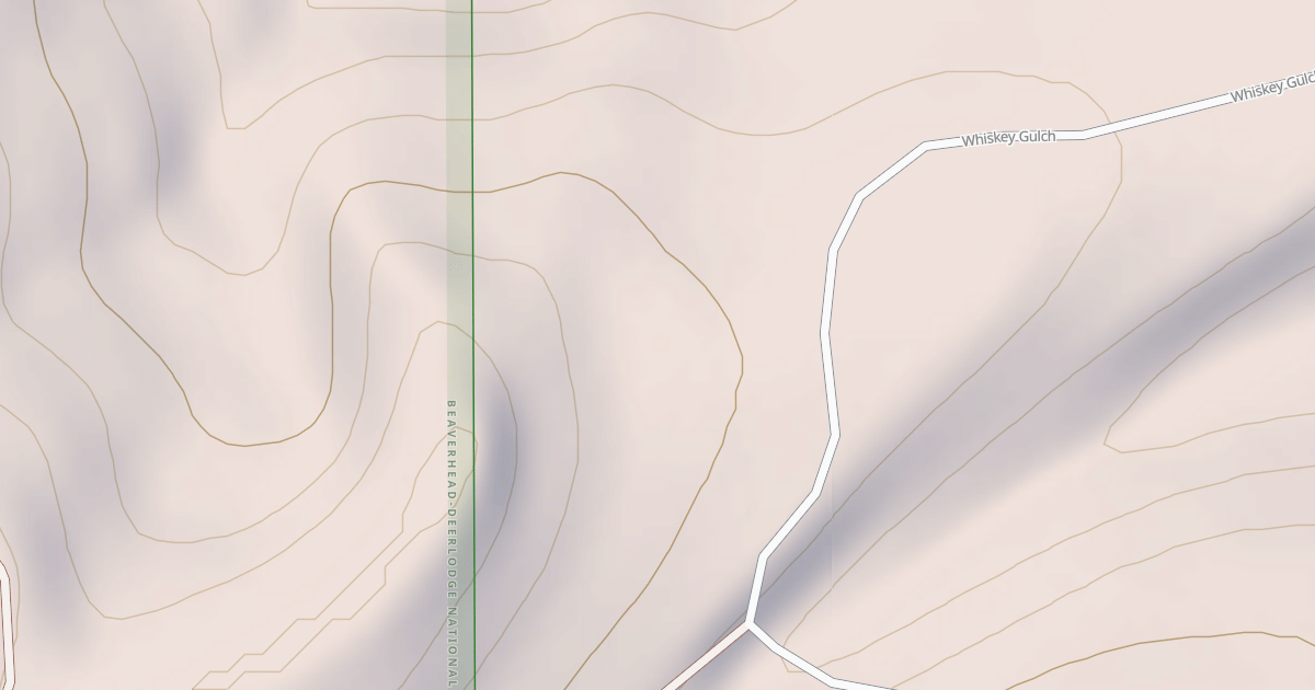 Map preview of BLM National GTLF Public Motorized Roads c1f75f2a-d72a-4b33-a886-0e7ba85dfd81