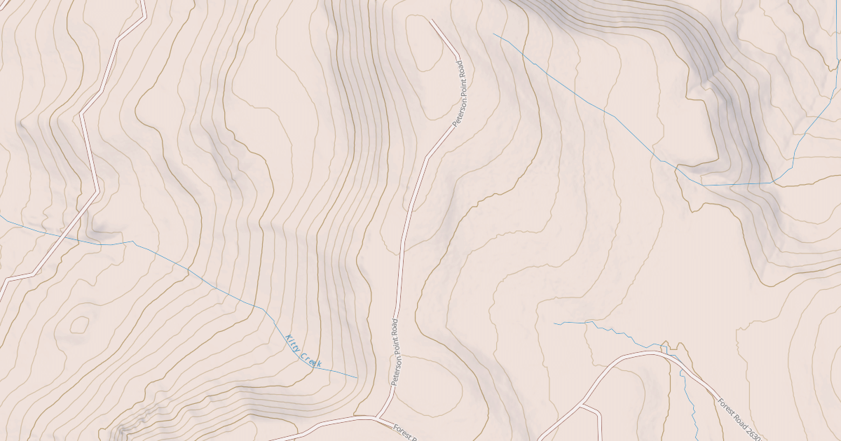 Map preview of USFS National Forest System Roads {50DB37EF-BCEA-4571-8F33-8E6EDD5F9135}
