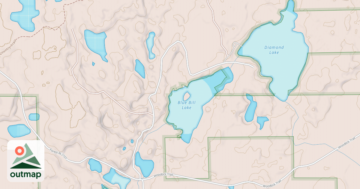 Map of BLUE BILL LAKE ROAD