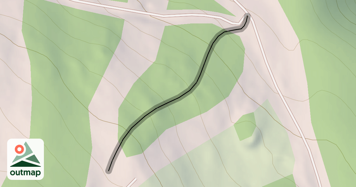 Map of Coyote Trees
