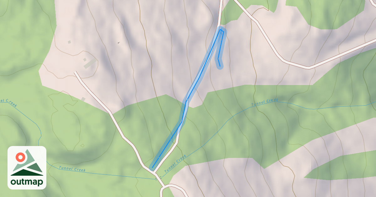 Map of Chicken Nugget