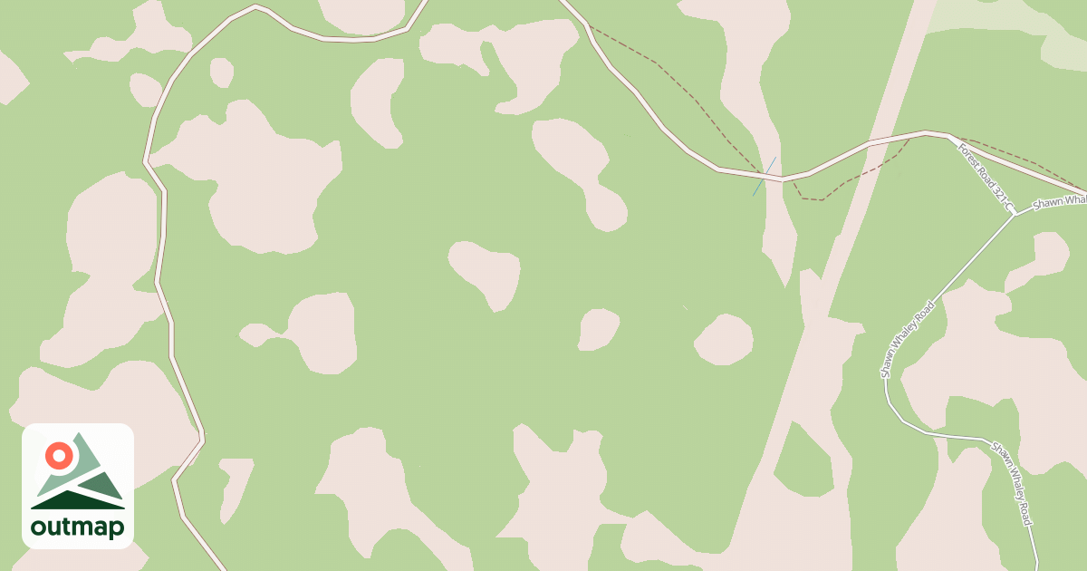 Map of USFS National Forest System Roads {A7738EBD-F42C-48B0-A41E-A3DE533FEBA5}