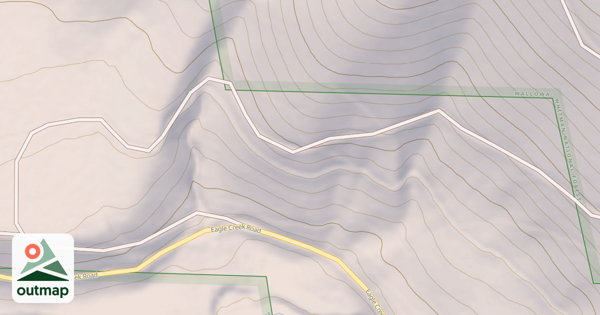 Map of USFS National Forest System Roads {0F2DF9B8-CD0C-4042-8AC5-A43BD26398CD}