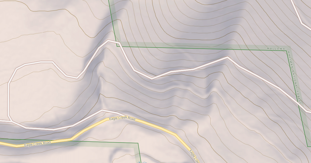 Map preview of USFS National Forest System Roads {0F2DF9B8-CD0C-4042-8AC5-A43BD26398CD}
