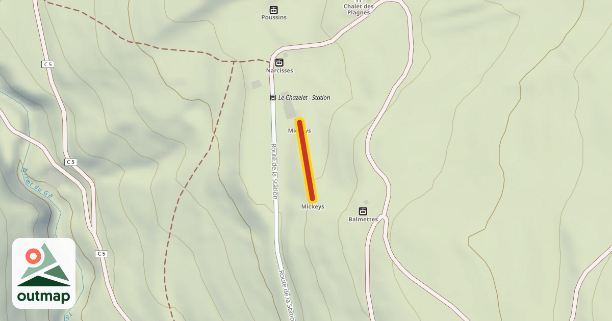 Map of Mickeys
