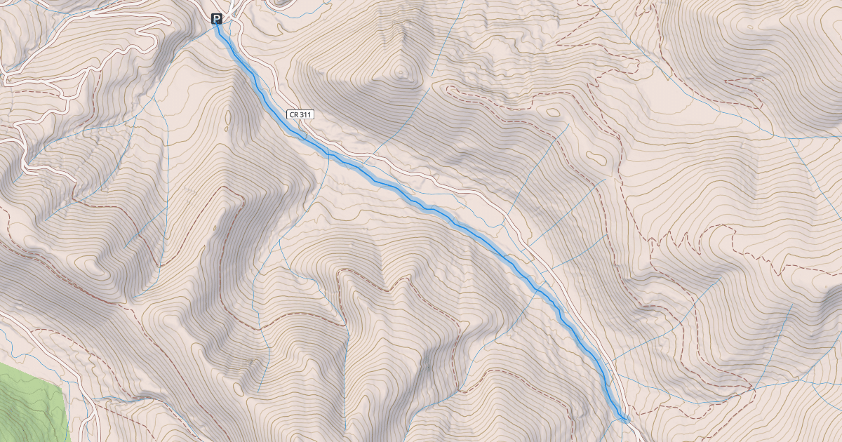 Map preview of South Fork Swan Trail