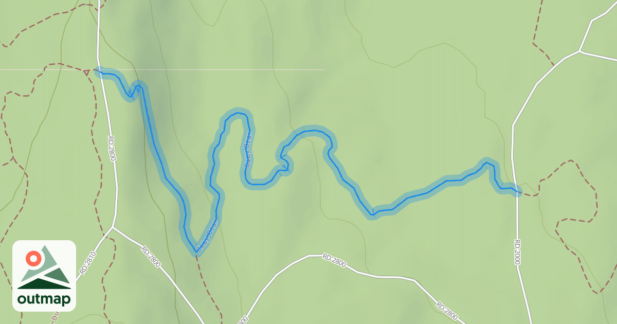 Map of Baby Bear