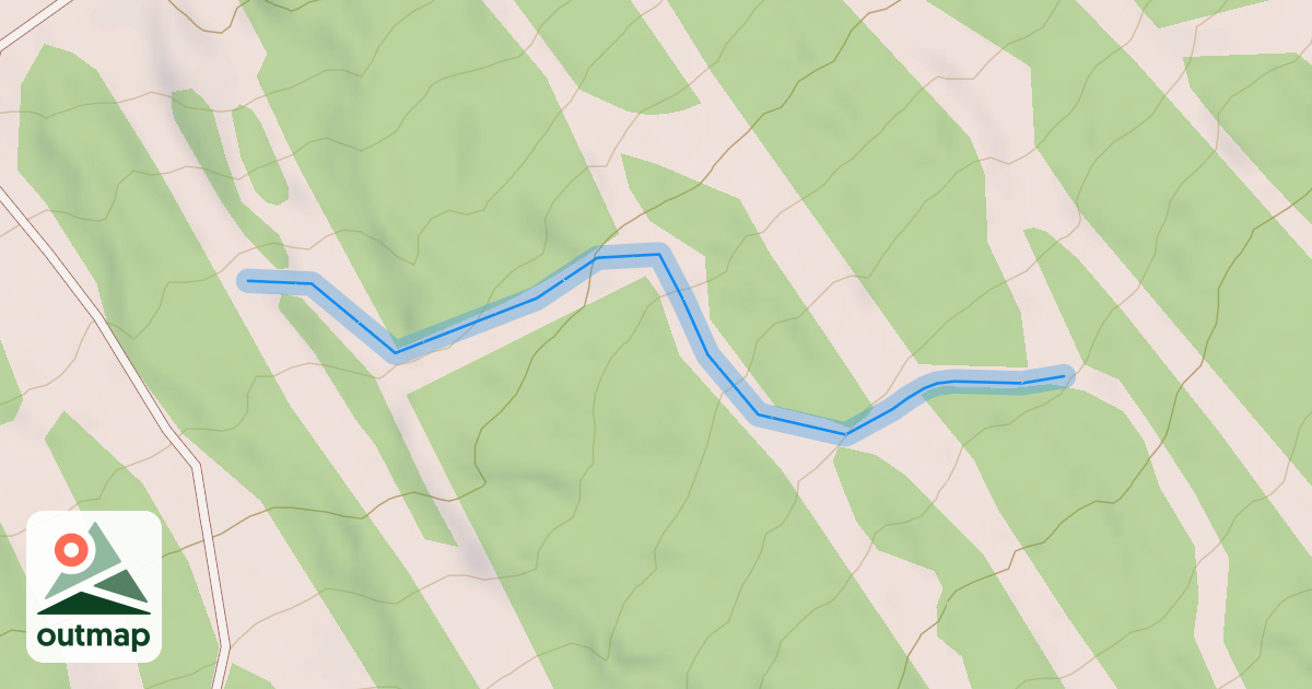Map of Annie's Alley