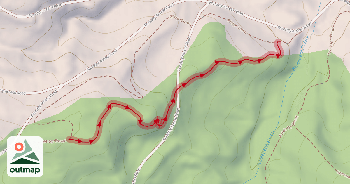 Map of Resurrection