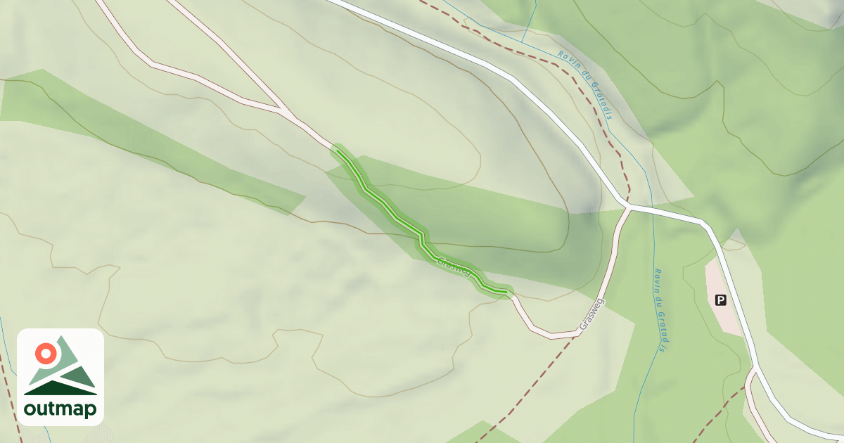 Map of Grasweg