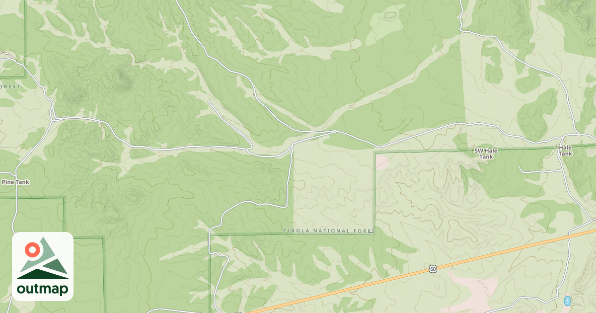 Map of USFS National Forest System Roads {04FB9311-CF00-4060-B70C-E76FB3996FAD}