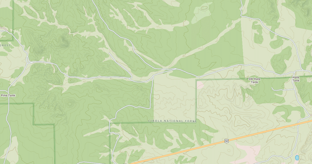 Map preview of USFS National Forest System Roads {04FB9311-CF00-4060-B70C-E76FB3996FAD}