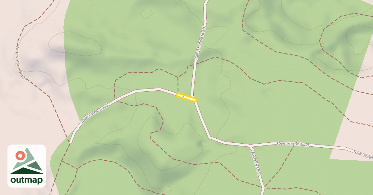 Map of Town Forest Road