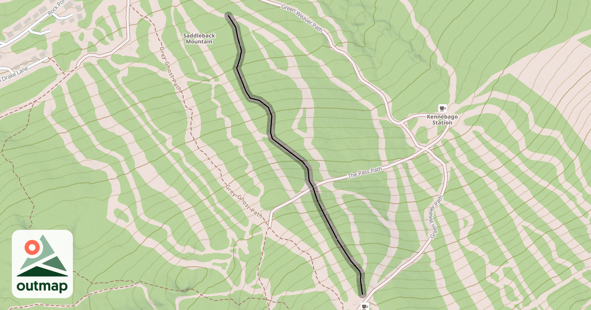 Map of Professor