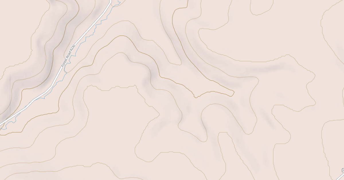 Map preview of USFS Motor Vehicle Use Map Roads {6EF88C3D-A6F1-4DAC-BD48-89894643440A}