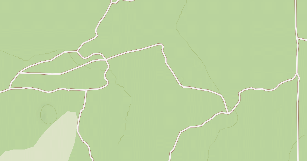 Map preview of USFS Motor Vehicle Use Map Roads {85C2DDE9-AE01-4745-93CF-16CFE19FC938}