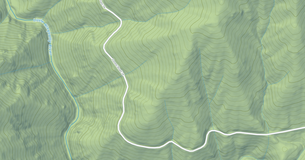 Map preview of NISQUALLY LOOP