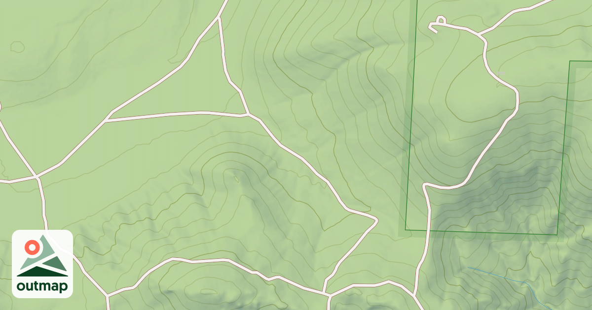 Map of USFS National Forest System Roads {29B92A2E-EF87-4E87-98CC-4ECA9F1E01A9}