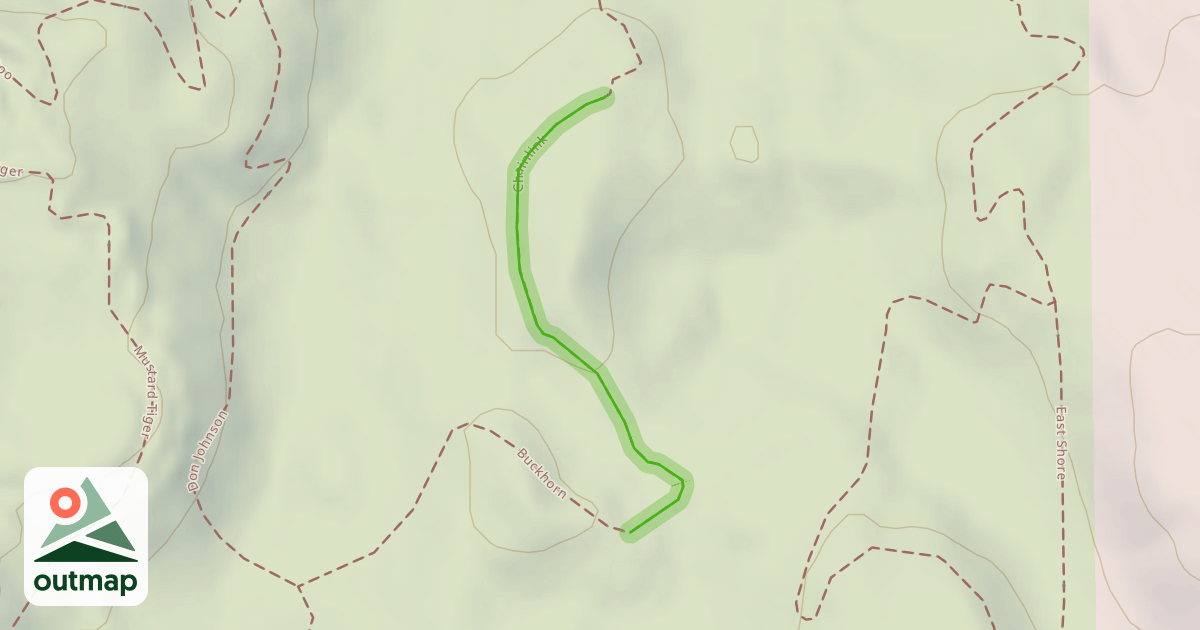 Map of Chainlink