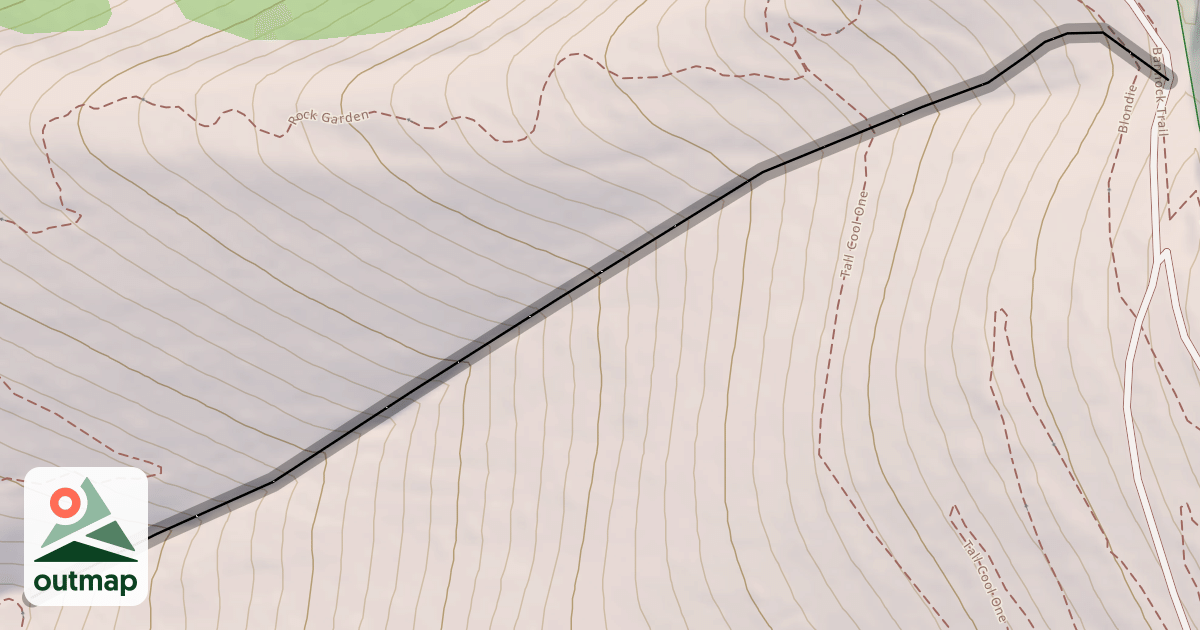 Map of Ladies Waist
