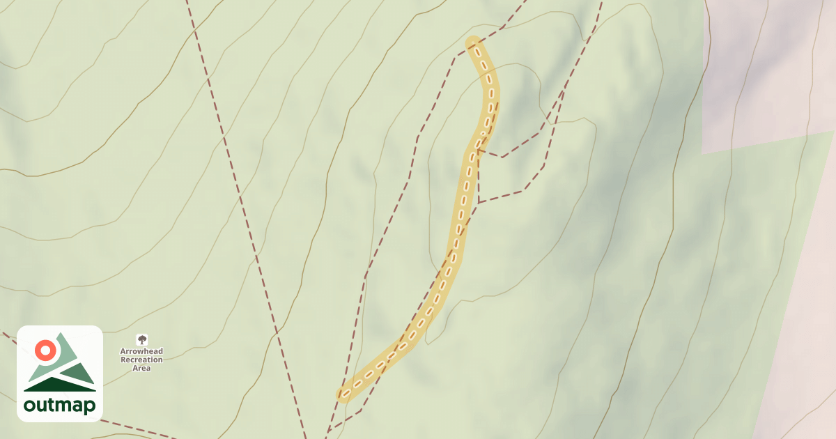 Map of Upper Face