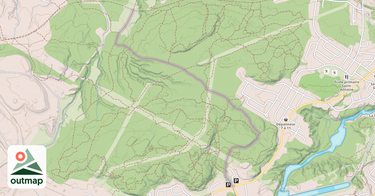 Map of 7