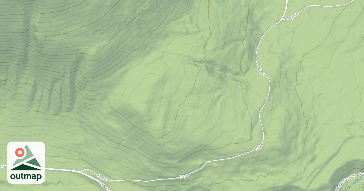 Map of FINGER
