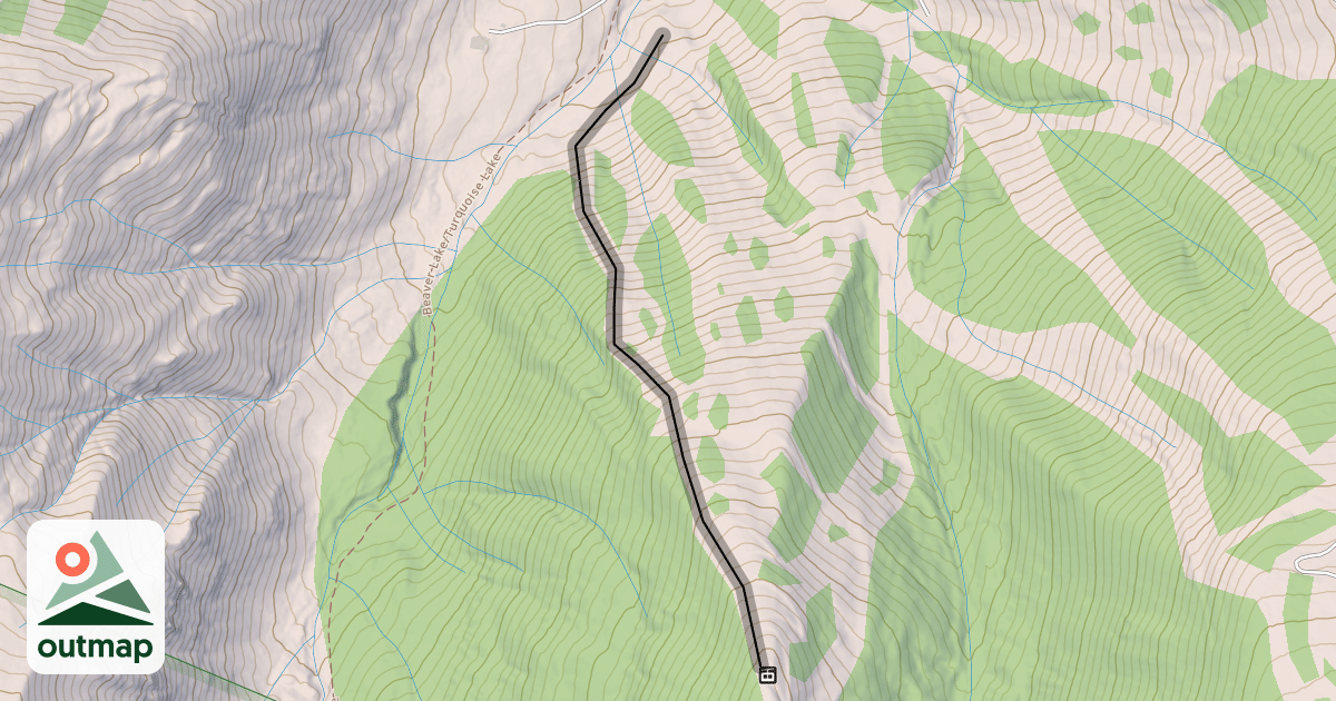 Map of Bald Eagle