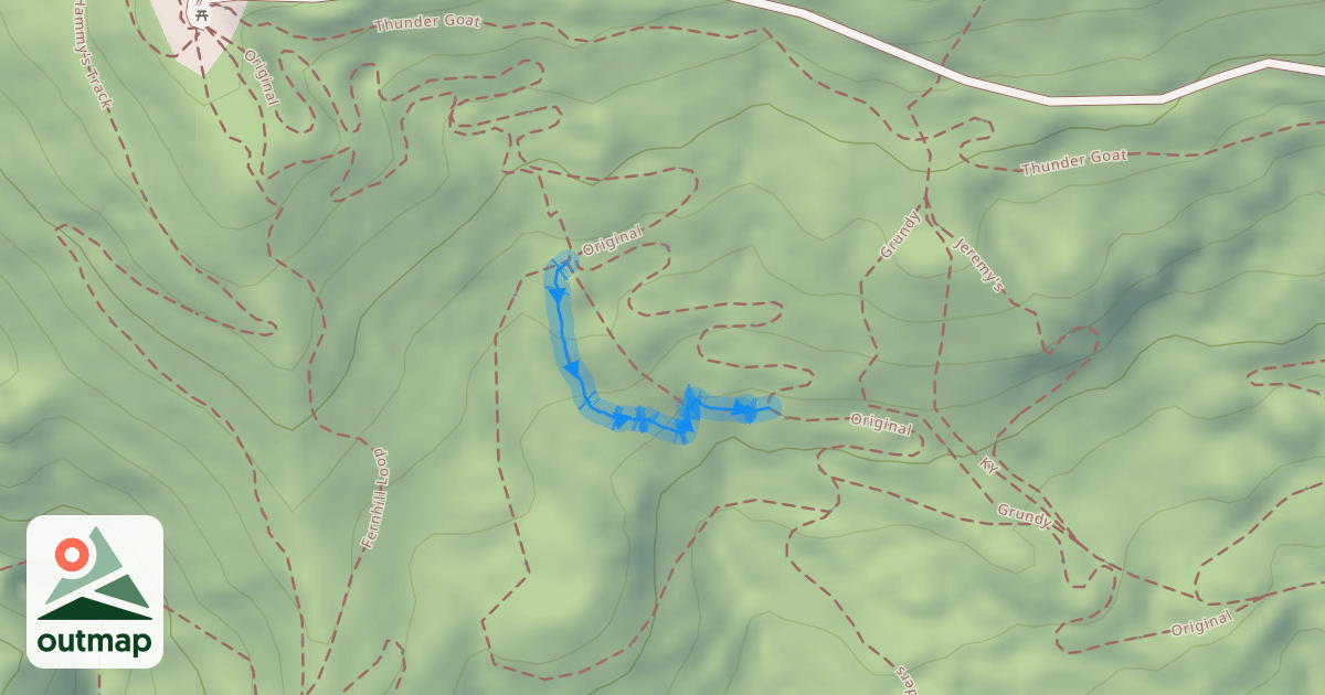 Map of Jungle Adventure
