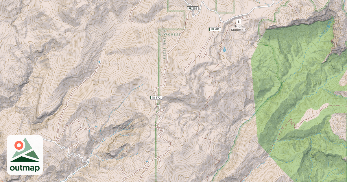 Map of USFS National Forest System Roads {F37B24EC-B9CD-45E3-91E8-D32E5605E5F9}