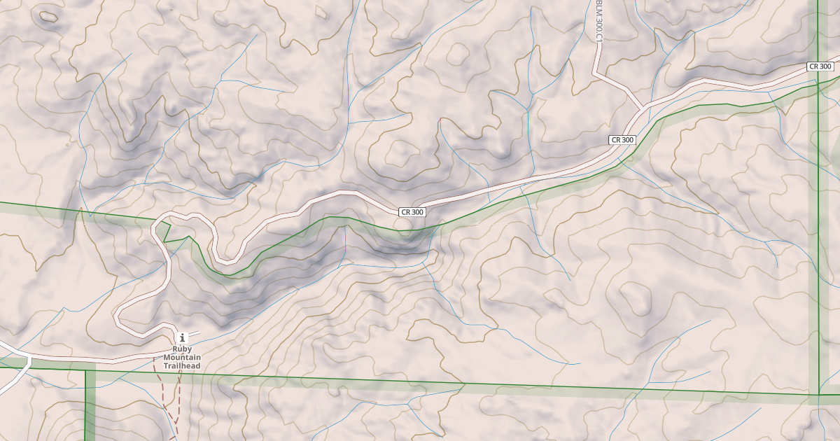 Map preview of BLM National GTLF Public Motorized Roads 2b37dd1e-abbb-4875-8733-48f487976e56