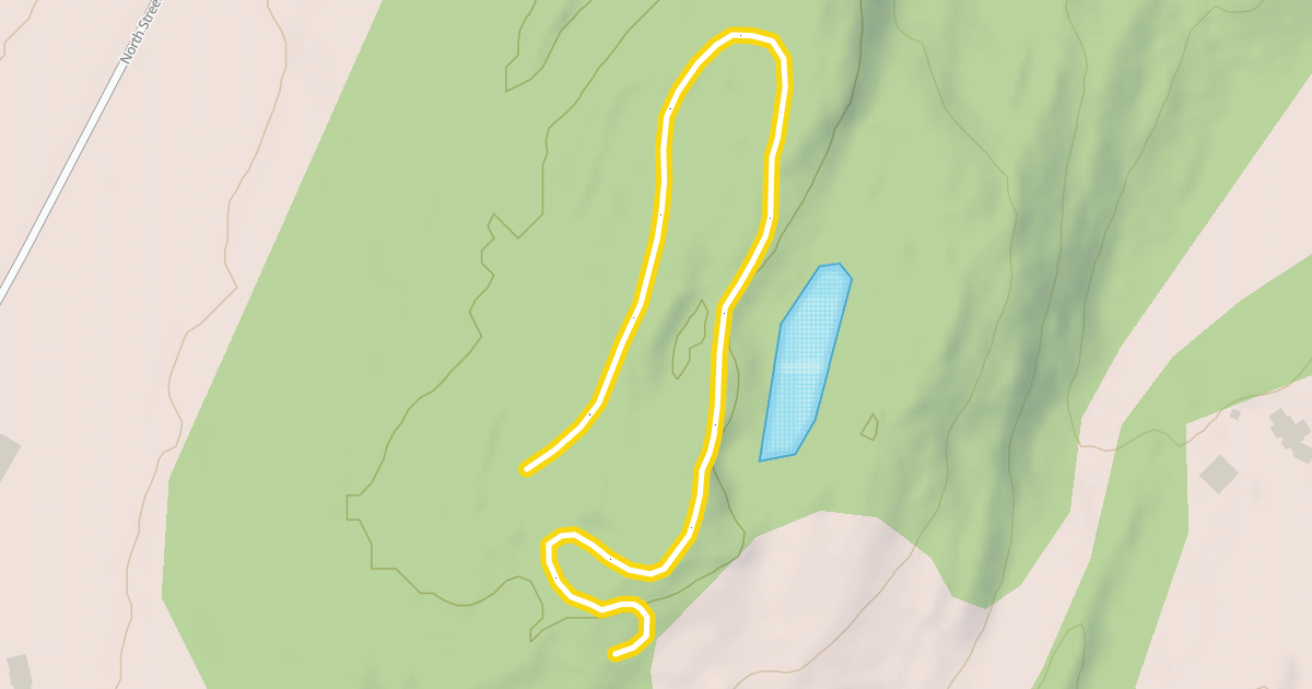 Map preview of Sherwood Forest