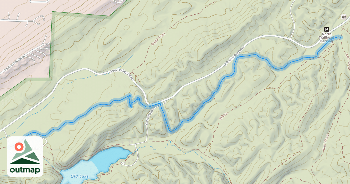 Map of Cat Dog Snake