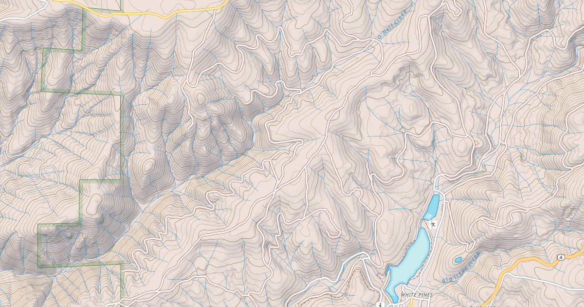 Map preview of USFS National Forest System Roads {5B6F425E-B2CE-4D51-BB97-AAD825A378D1}