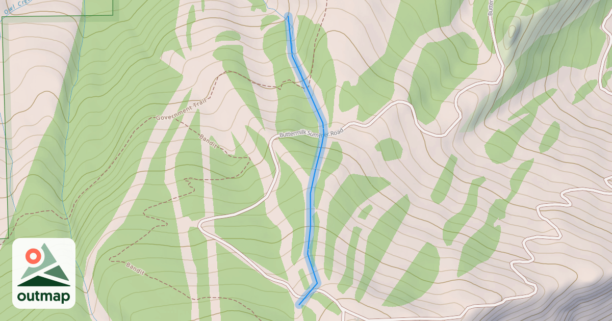 Map of Camp Bird