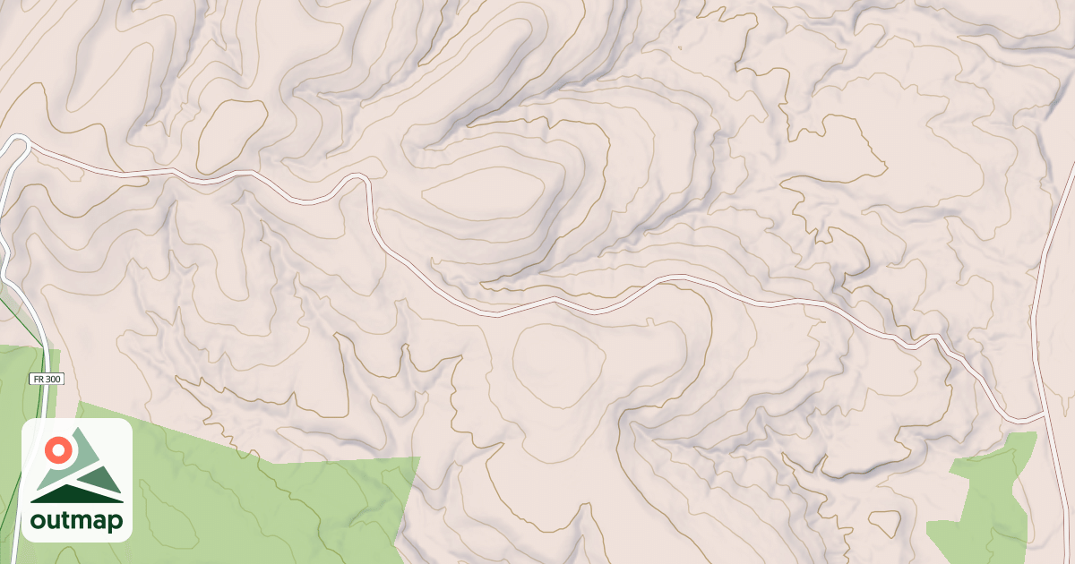 Map of USFS National Forest System Roads {B478CB8B-DD89-487B-AA9B-DE140C83542F}