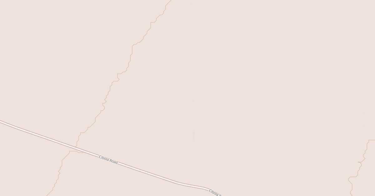 Map preview of BLM National GTLF Public Motorized Roads 8845f293-ba11-4bef-8788-aa91711c0484