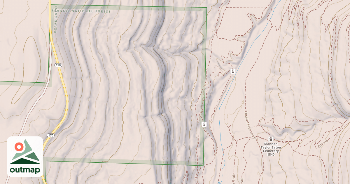 Map of USFS National Forest System Roads {1AA00F8A-79B4-4803-8D8E-D4D0E2D950E7}