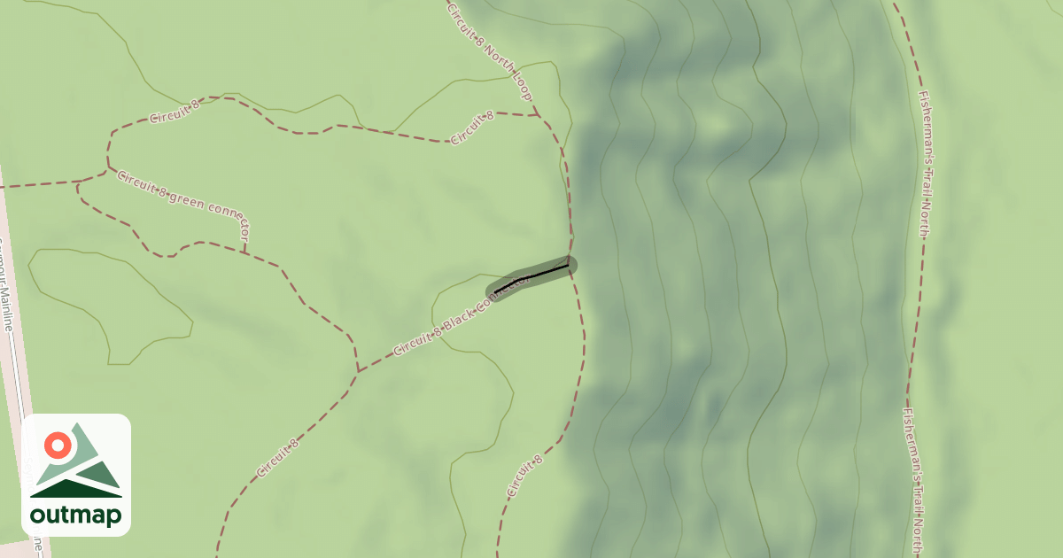 Map of Circuit 8 Black Connector
