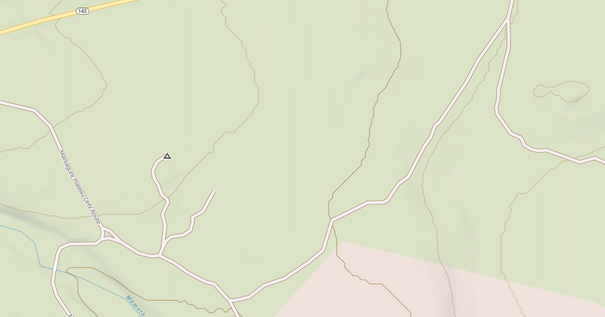 Map preview of USFS Motor Vehicle Use Map Roads {BD561150-6B29-4ED3-89EB-CD2C9028E969}