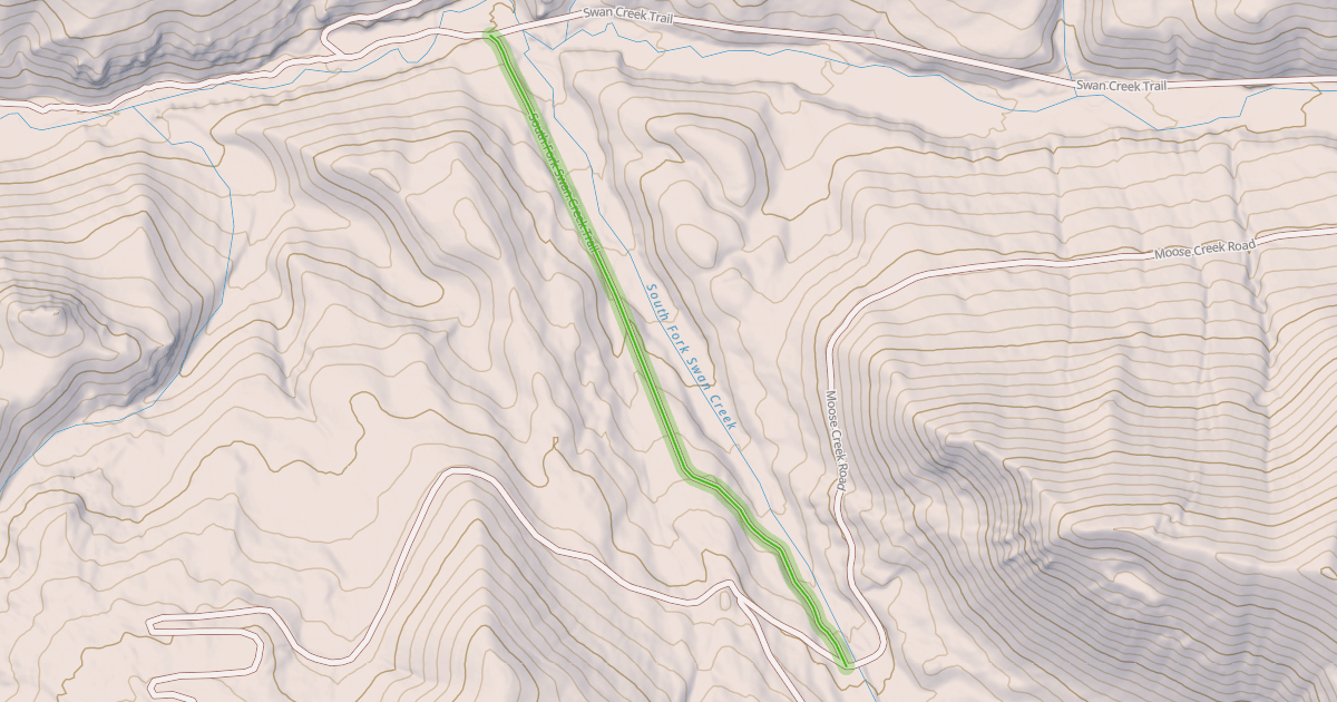 Map preview of South Fork Swan Creek Trail
