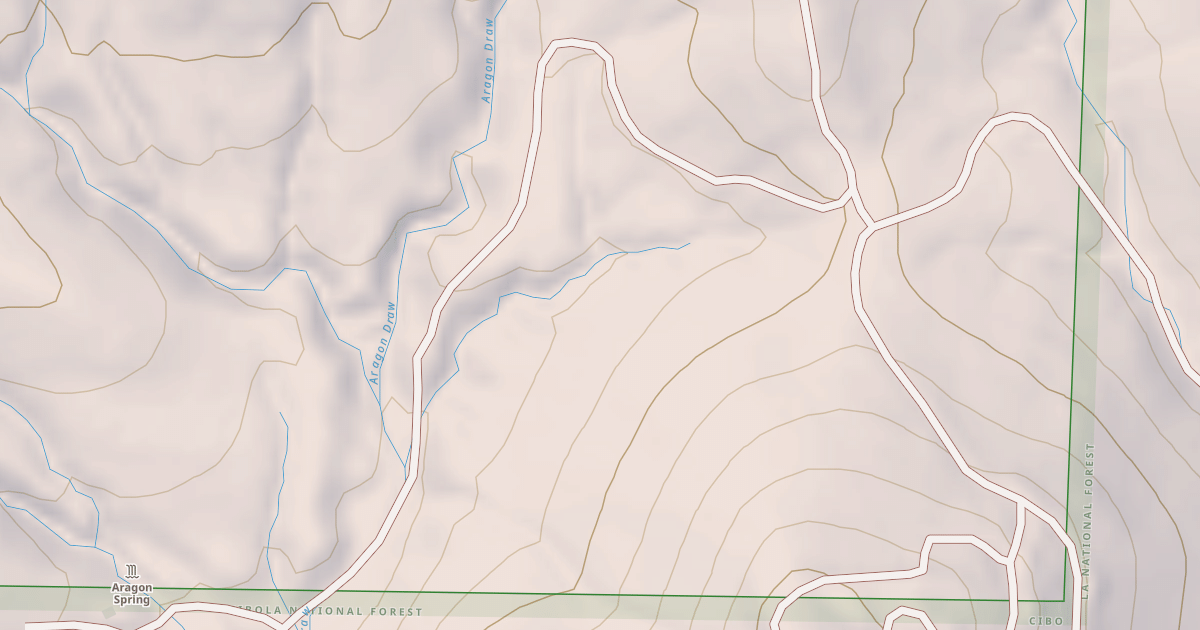 Map preview of USFS National Forest System Roads {3531AF59-CD86-4F32-9B41-C7F253312D7B}
