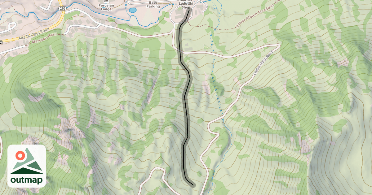 Map of Collins Face